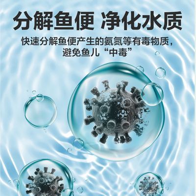 硝化細菌產品的選擇指南：如何選擇硝化細菌產品