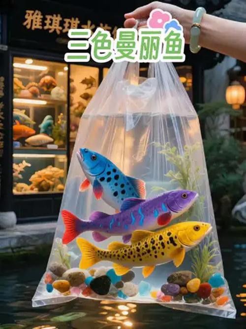 養(yǎng)曼龍魚怎么造景好看圖片