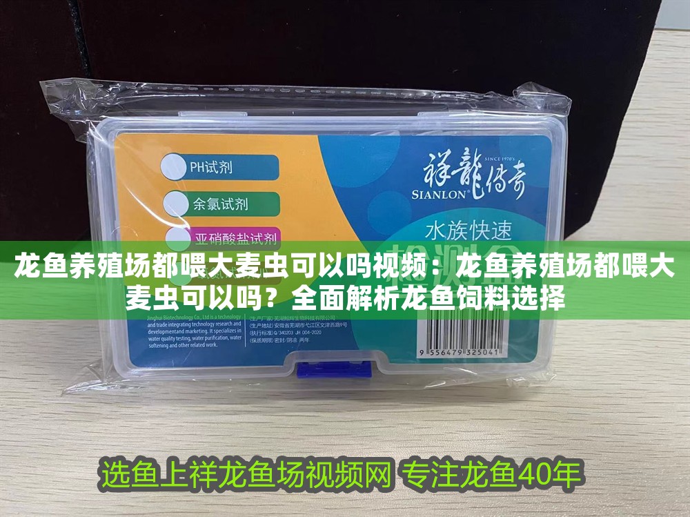 龍魚養殖場都喂大麥蟲可以嗎視頻：龍魚養殖場都喂大麥蟲可以嗎？全面解析龍魚飼料選擇