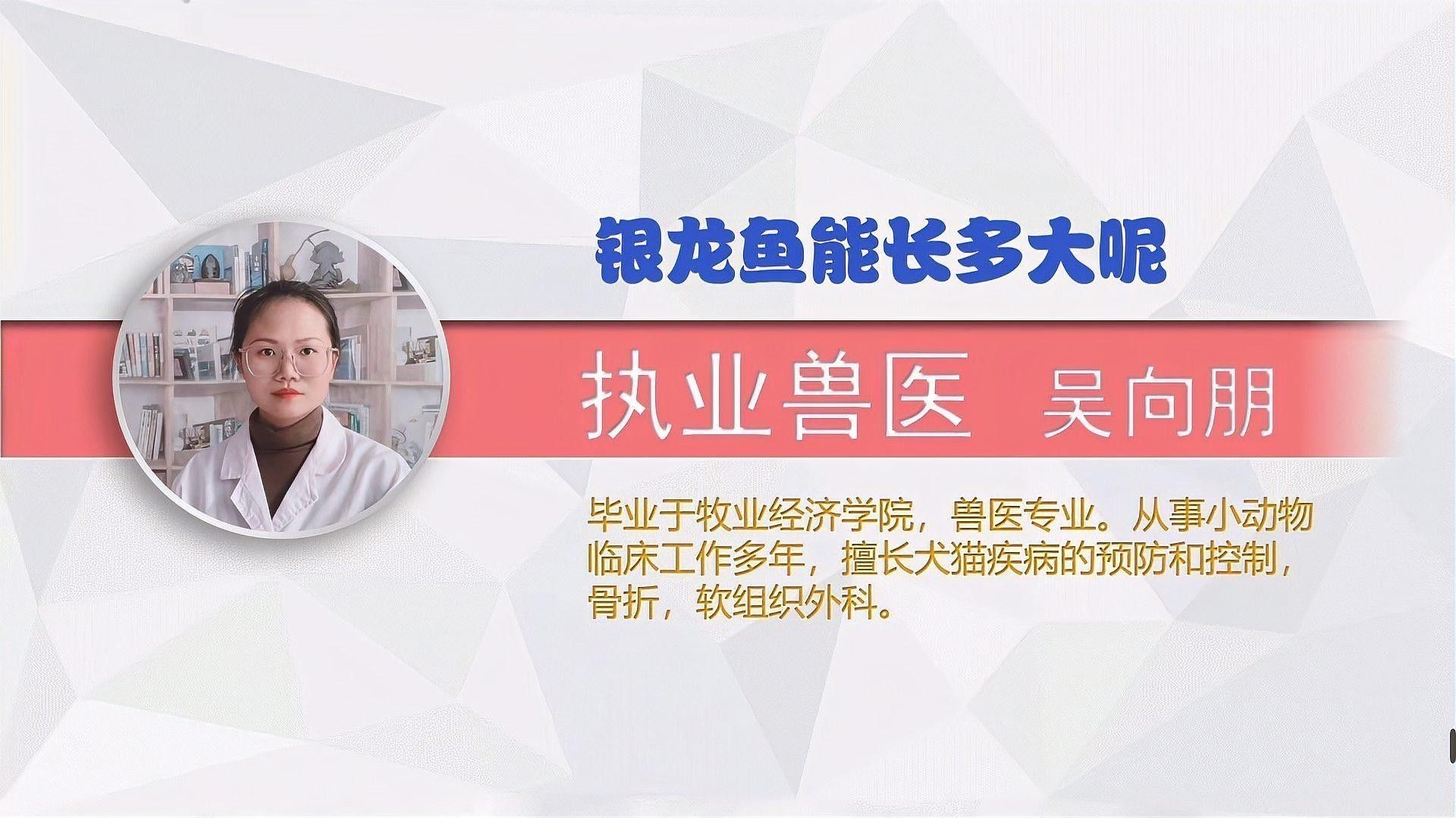銀龍魚(yú)最大能養(yǎng)多大的魚(yú)