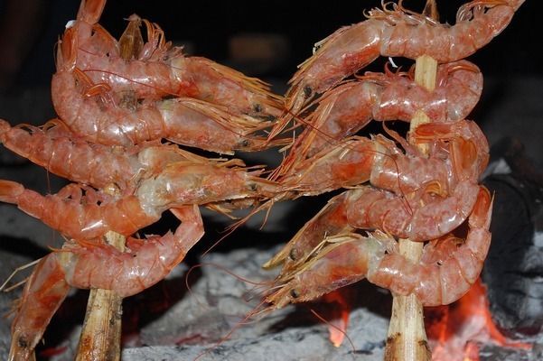 龍魚怎么上色的好看，觀賞魚愛好者非常關注的龍魚上色技巧和注意事項
