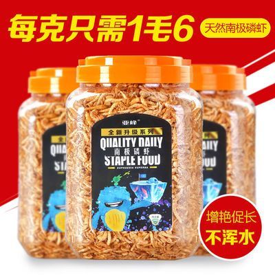 銀龍魚營養均衡飼料選擇
