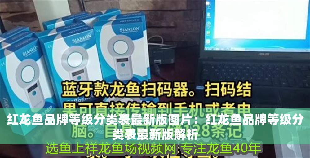 龍魚霉菌感染怎么治療