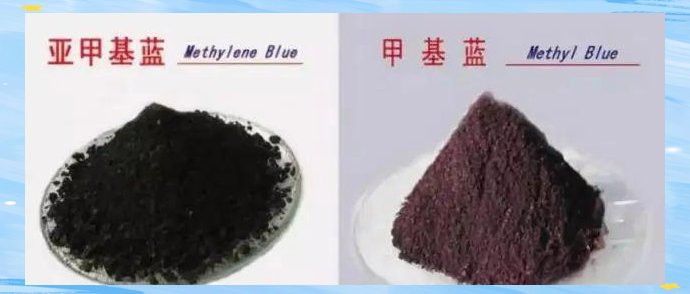 如何預防銀龍魚凸眼病的發生？