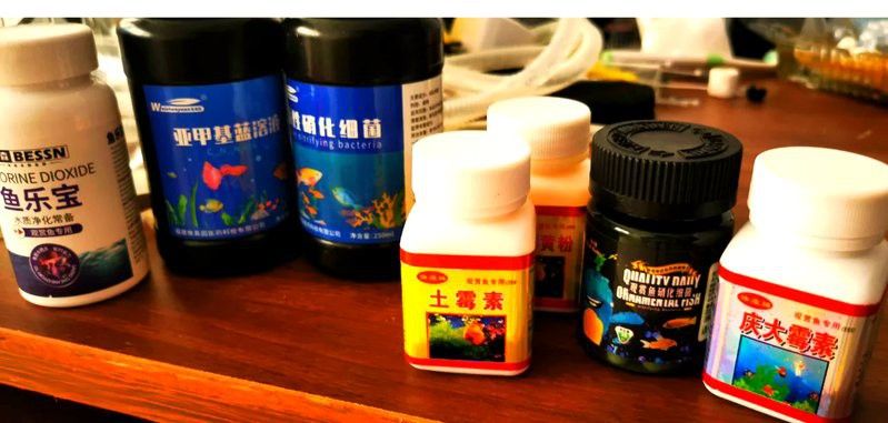 如何預防銀龍魚凸眼病的發生？