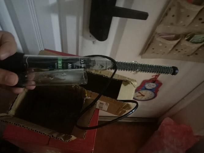 如何預防銀龍魚凸眼病的發生？