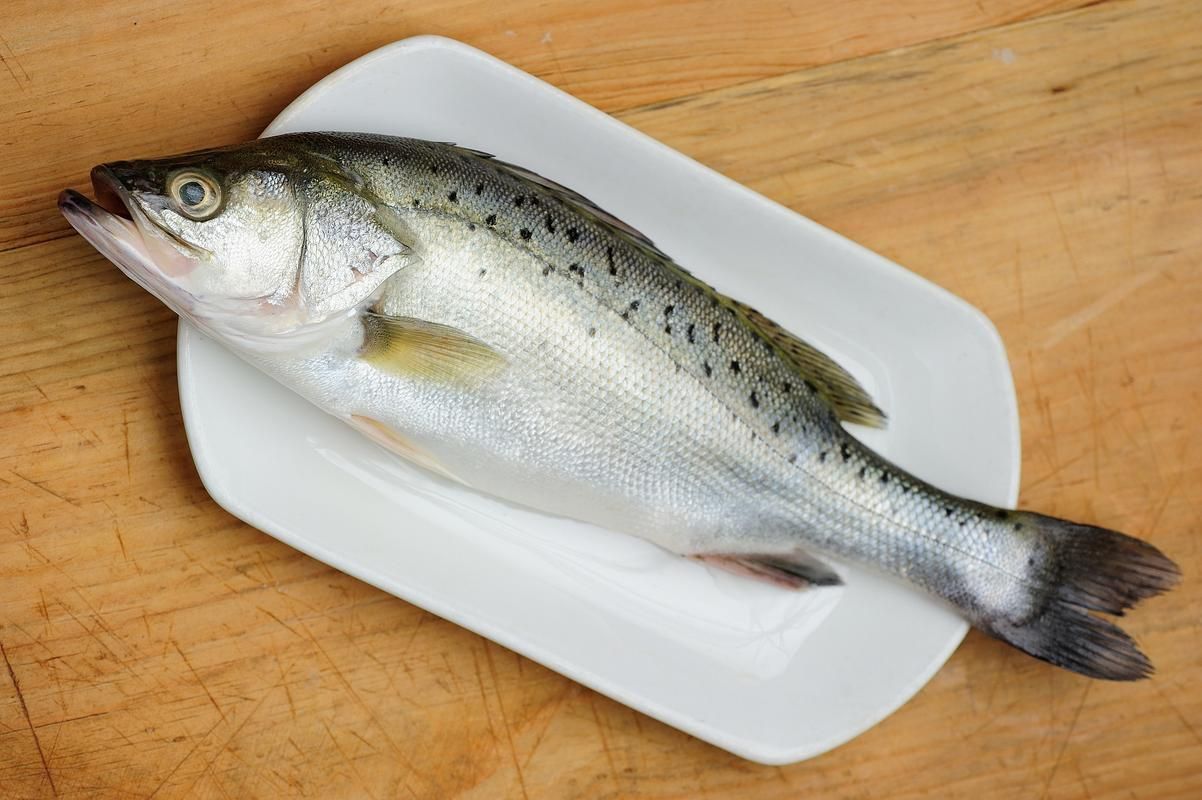 鱸魚長什么樣子圖片大全