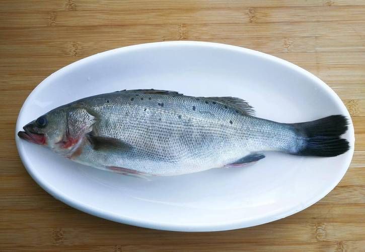 鱸魚長什么樣子圖片大全