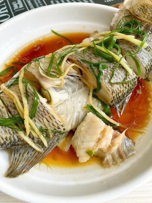 鱸魚長什么樣子圖片大全
