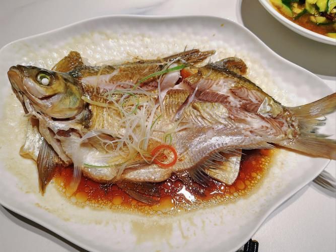 鱸魚長什么樣子圖片大全