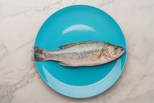 鱸魚長什么樣子圖片大全