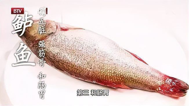 鱸魚長什么樣子圖片大全