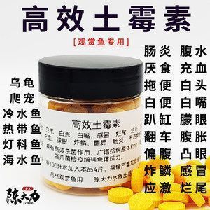 龍魚的飼養溫度和注意事項：龍魚腸炎土霉素使用方法