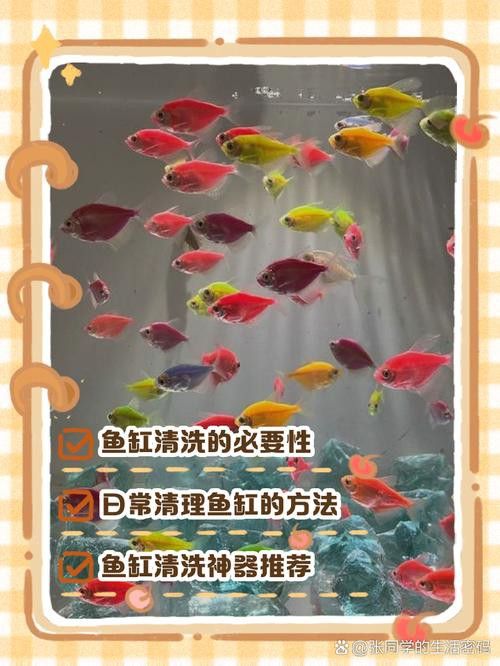 金九龍魚缸安裝圖解大全