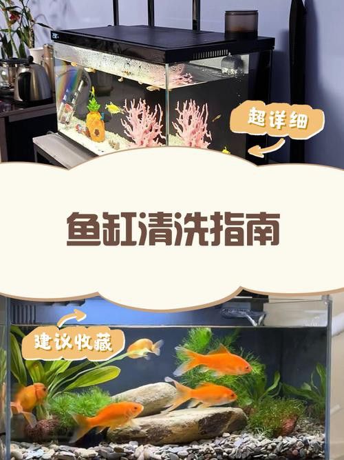 金九龍魚缸安裝圖解大全