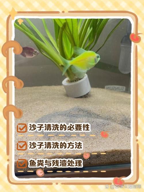 金九龍魚缸安裝圖解大全