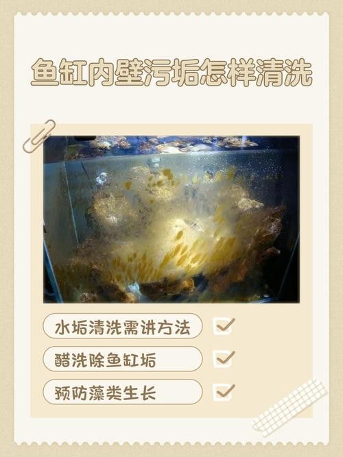 金九龍魚缸安裝圖解大全