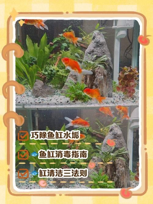 金九龍魚缸安裝圖解大全