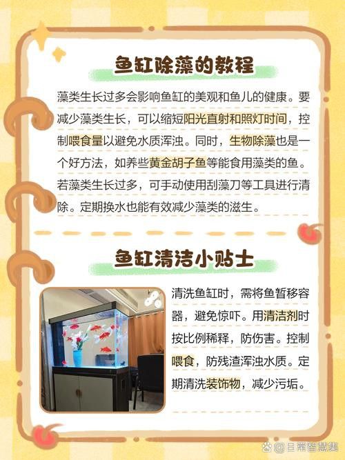 金九龍魚缸安裝圖解大全