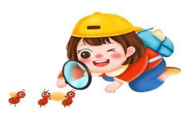 觀察龍魚的作文400字（觀察魚的作文范文）