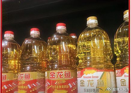 金龍魚的社會責任具體有哪些？