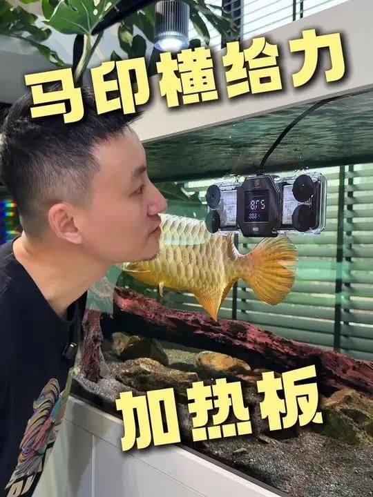 馬印水族最值得買的三個地方