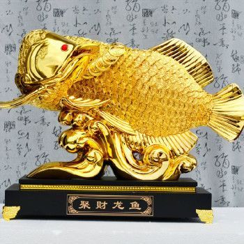 風水龍魚：龍魚缸擺放的風水禁忌