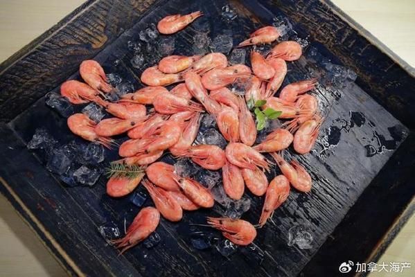 龍魚缸溫度33度可以養(yǎng)嗎：龍魚缸溫度控制在33度是否可以飼養(yǎng)龍魚
