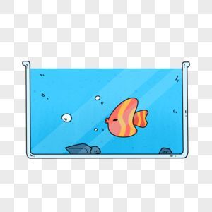 魚缸里的魚怎么發朋友圈文案圖片（魚缸攝影技巧養魚心得分享）
