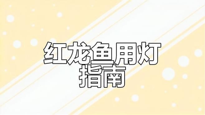 如何設置紅龍魚的照明系統？