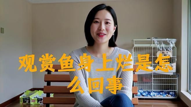 如何預防和治療魚類體表潰爛？