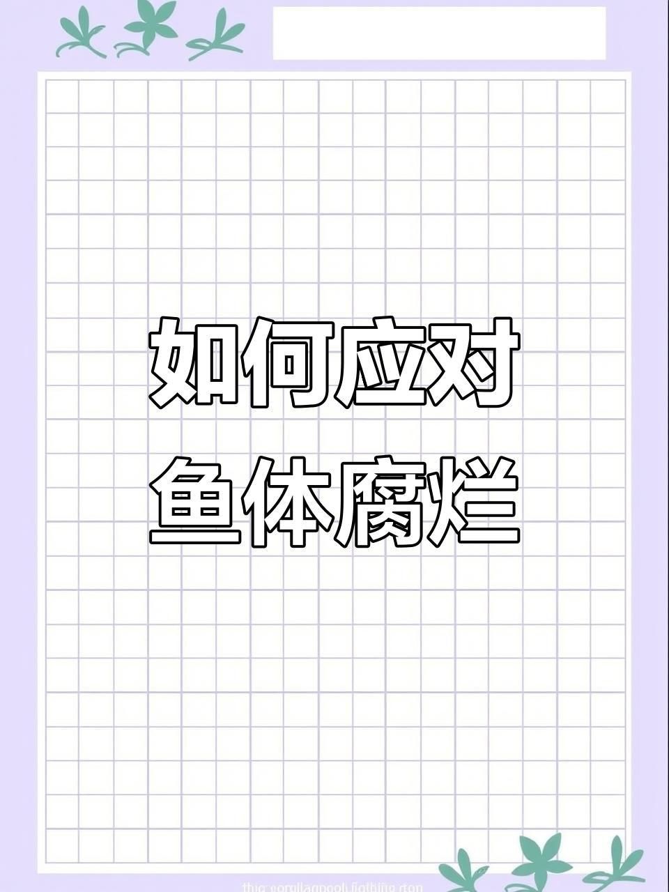 如何預防和治療魚類體表潰爛？