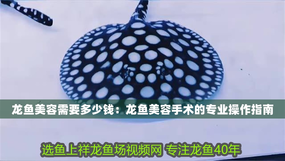 龍魚(yú)美容需要多少錢(qián)：龍魚(yú)美容手術(shù)的專(zhuān)業(yè)操作指南