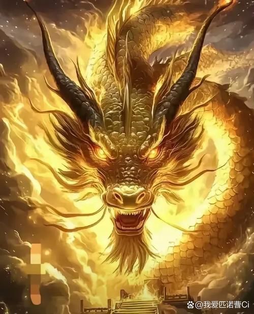 龍最旺財(cái)?shù)?張圖片大全