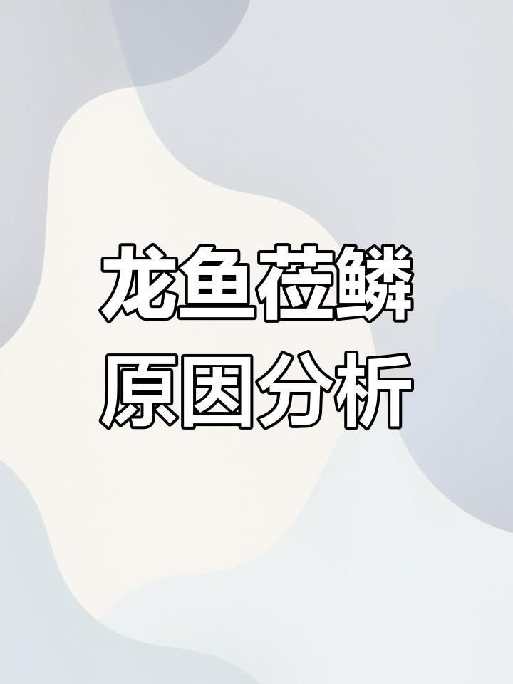 如何預(yù)防龍魚鱗片爛? 龍魚百科 第3張 如何預(yù)防龍魚鱗片爛? 如何預(yù)防龍魚鱗片爛? 龍魚百科 第3張