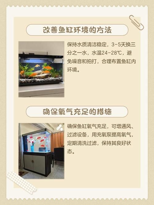 龍魚跳缸意味著什么呢圖片