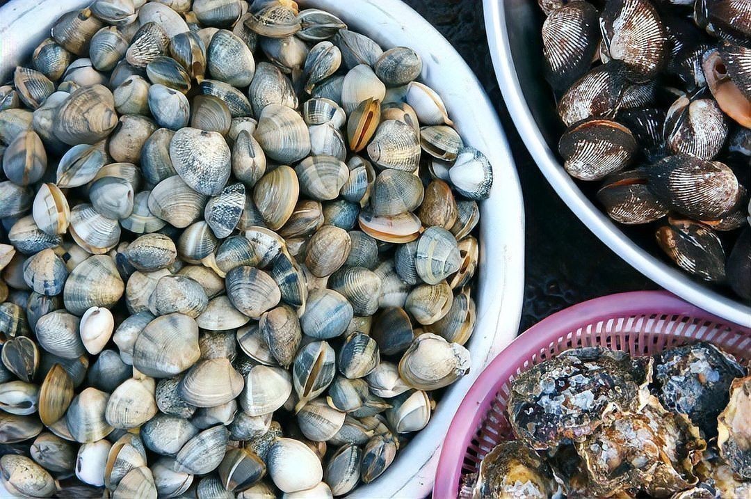 如何在挑選龍鰍魚時保證新鮮？