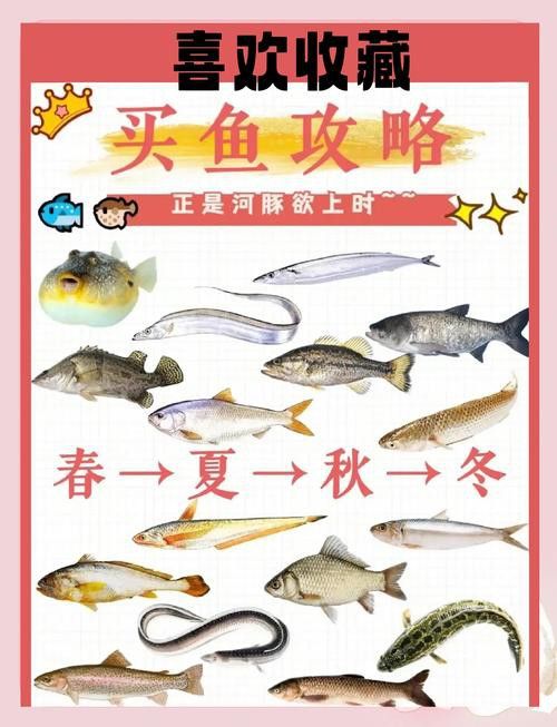 如何在挑選龍鰍魚時保證新鮮？