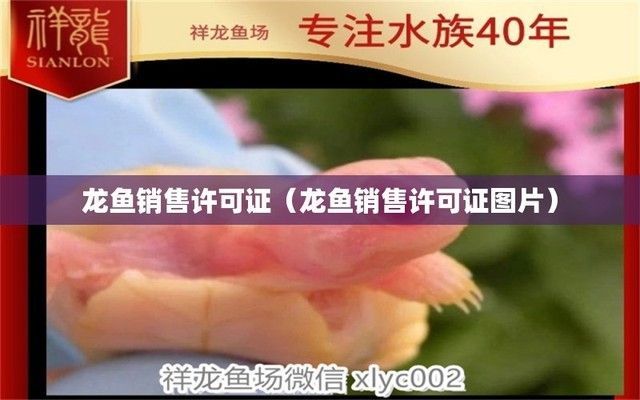 龍魚銷售許可證是什么，龍魚銷售許可證辦理流程詳解