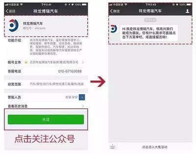 祥龍魚場官方微信號是多少(祥龍魚場官方微信號是xlyc002,xlyc002) 龍魚百科 第4張 祥龍魚場官方微信號是多少(祥龍魚場官方微信號是xlyc002,xlyc002) 祥龍魚場官方微信號是多少(祥龍魚場官方微信號是xlyc002,xlyc002) 龍魚百科 第4張