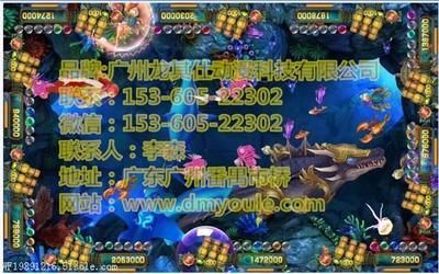 賣龍魚的銷售經驗分享（龍魚市場需求分析）