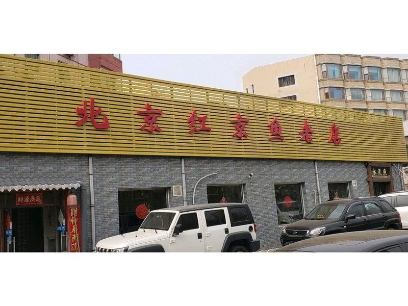 北京紅龍魚哪家好一點啊 北京紅龍魚哪家好一點啊 龍魚百科 第3張