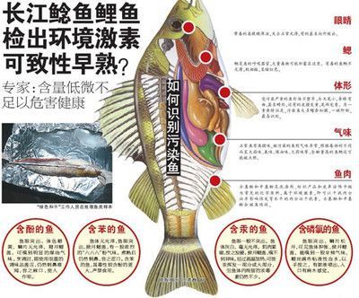 龍魚怎么打包發貨給別人：龍魚打包用什么鎮定劑,龍魚長途運輸注意事項