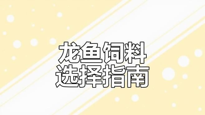 龜增色龍魚的食物選擇