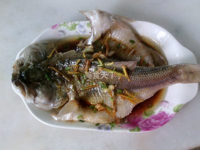 龍魚并須怎么處理：龍魚并須健康檢查指南,龍魚并須護理常見誤區