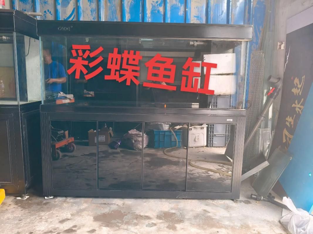 彩蝶龍魚缸價(jià)格表和圖片
