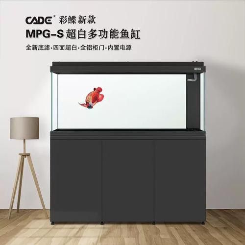 彩蝶龍魚缸價(jià)格表和圖片