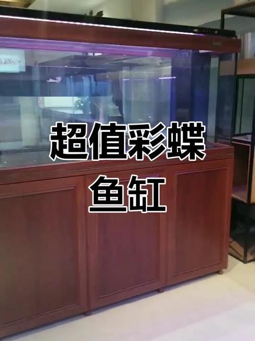彩蝶龍魚缸價(jià)格表和圖片