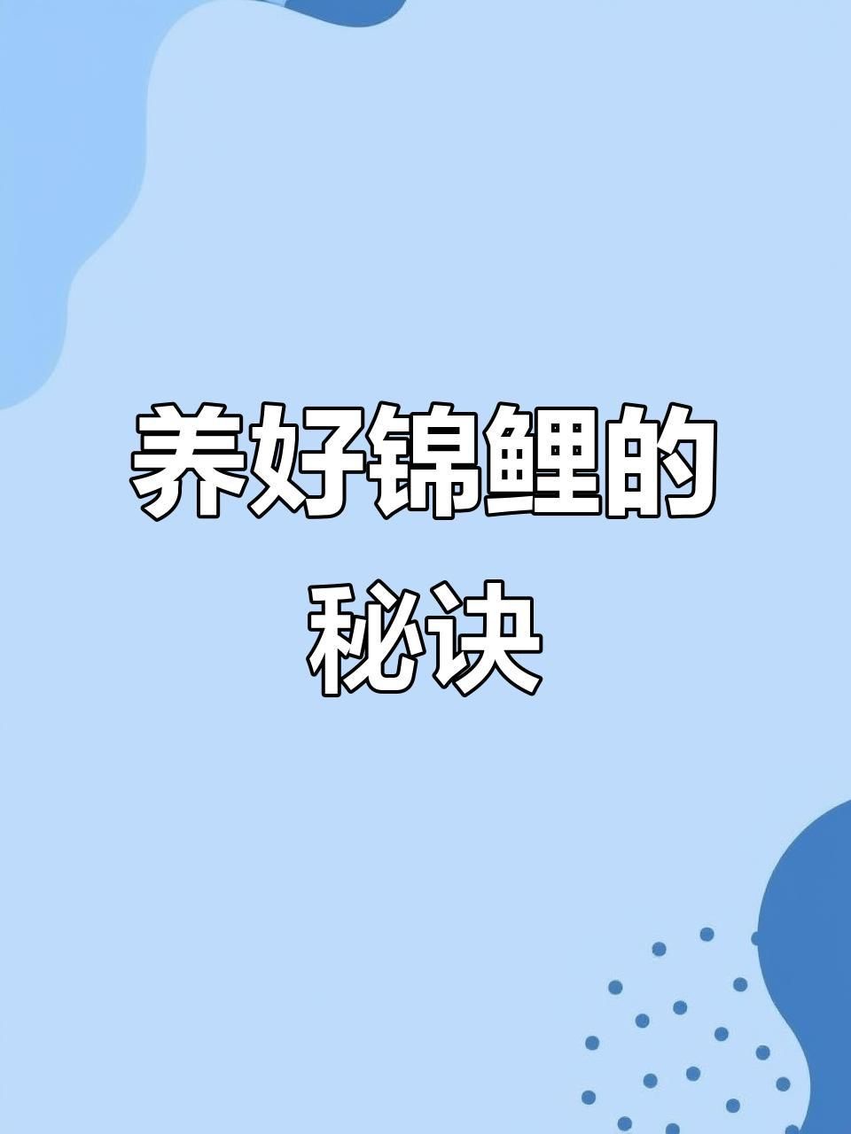 如何預防錦鯉身體發紅充血？