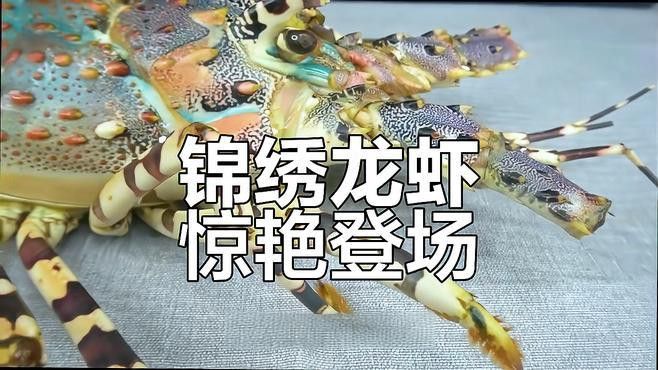 有沒有更多高清大龍蝦圖片？